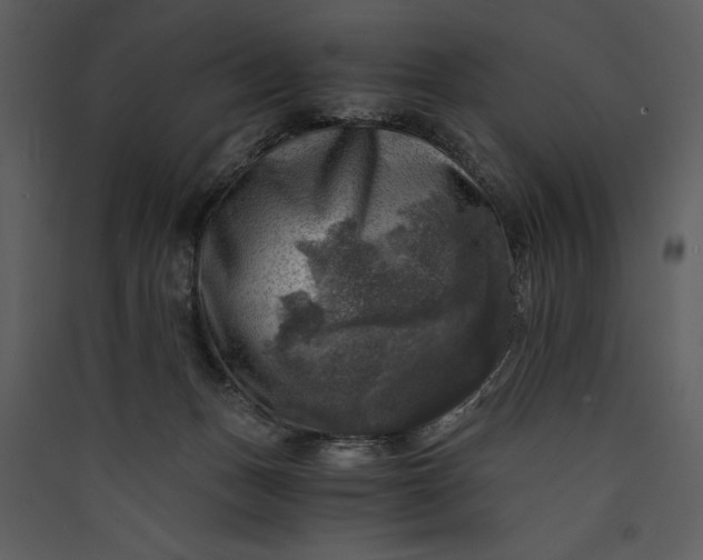 X0000089920175200707131418