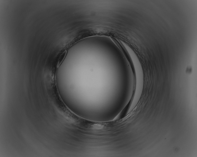 X0000089920176200707131418