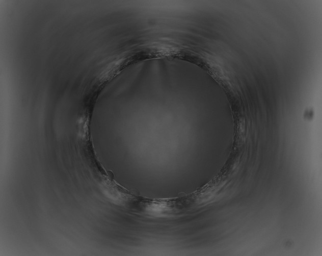 X0000089920177200707131418