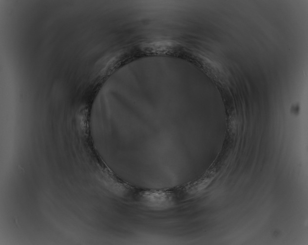 X0000089920181200707131418