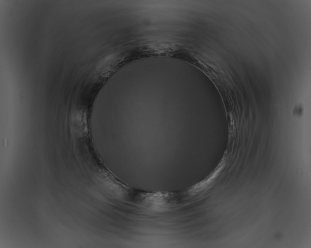 X0000089920182200707131418