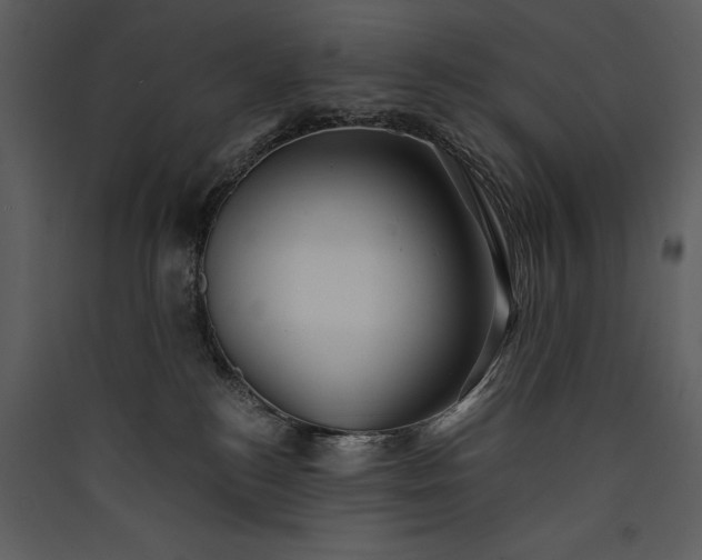 X0000089920184200707131418