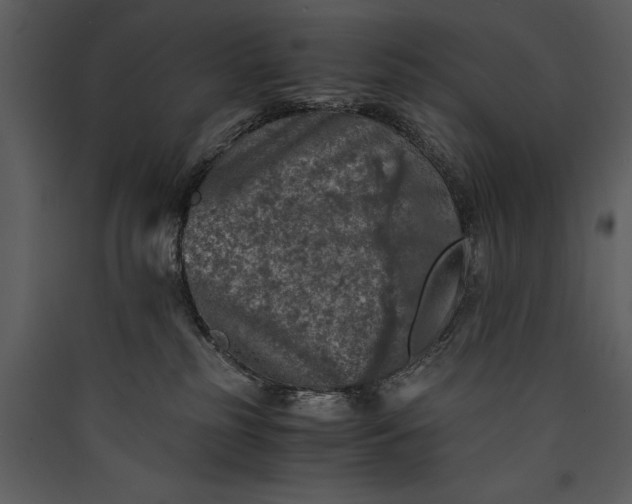 X0000089920185200707131418