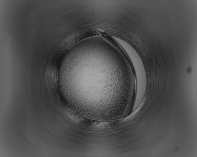 X0000089920186200707131418