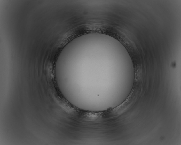 X0000089920187200707131418