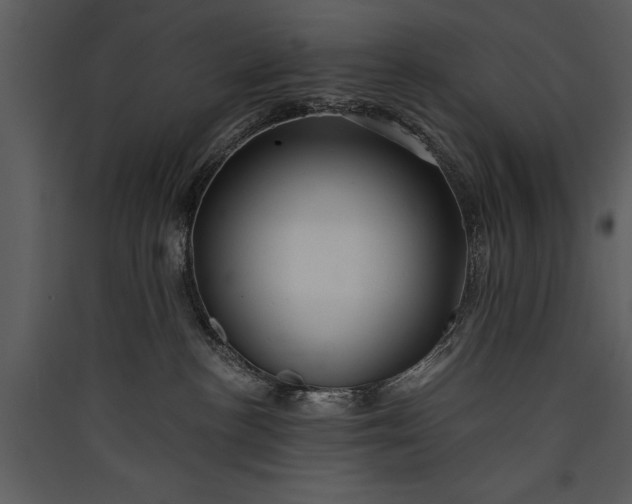 X0000089920188200707131419