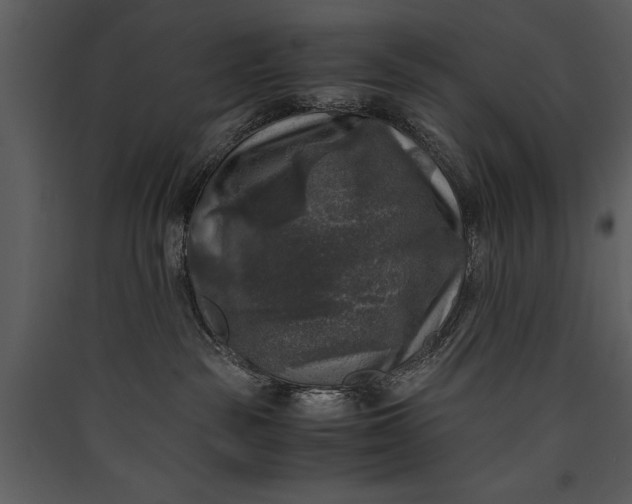 X0000089920189200707131419