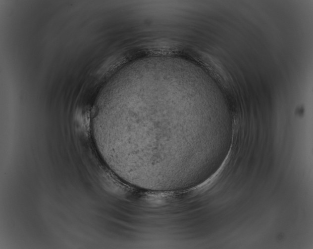 X0000089920190200707131419