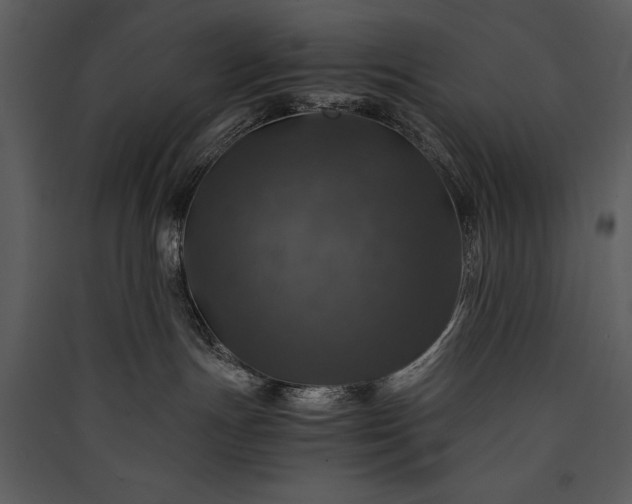 X0000089920191200707131419