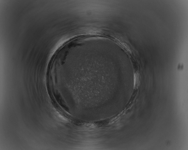 X0000089920195200707131418