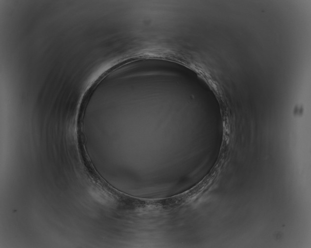X0000089920196200707131418