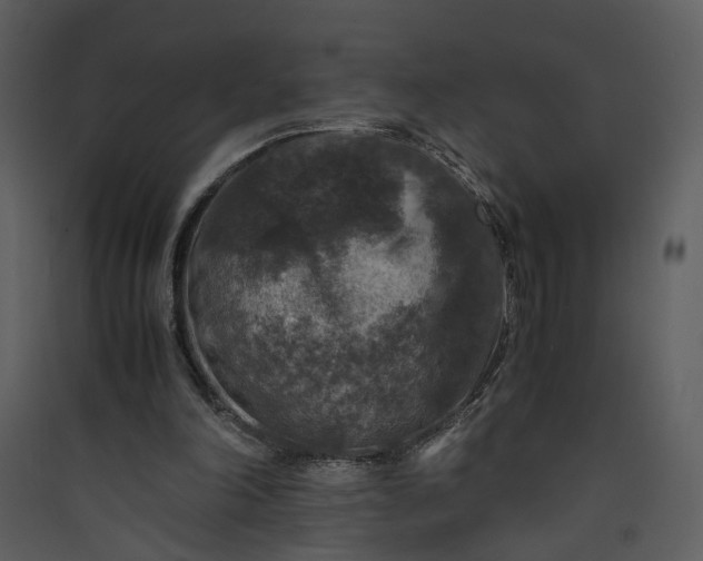 X0000089920198200707131418