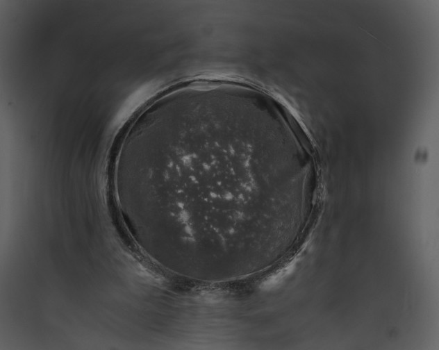 X0000089920199200707131418