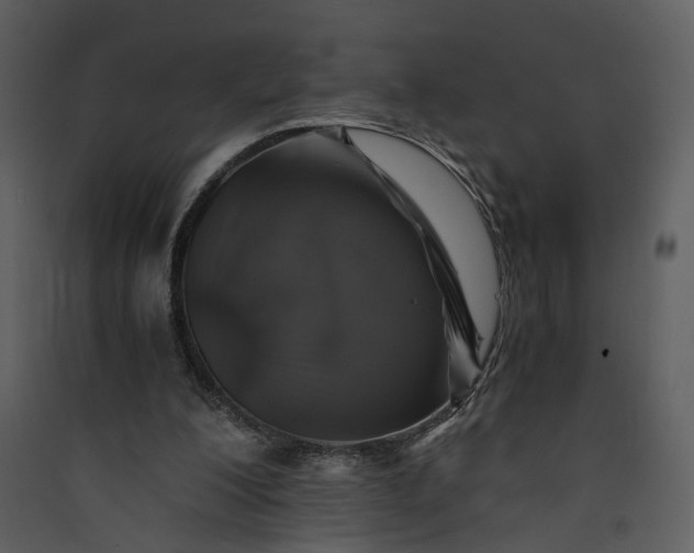 X0000089920200200707131418
