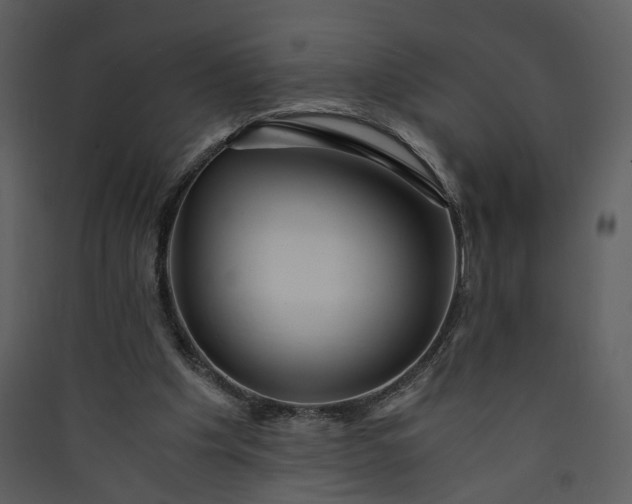 X0000089920201200707131418