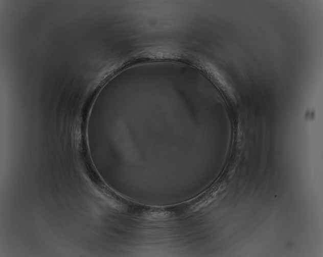 X0000089920202200707131418