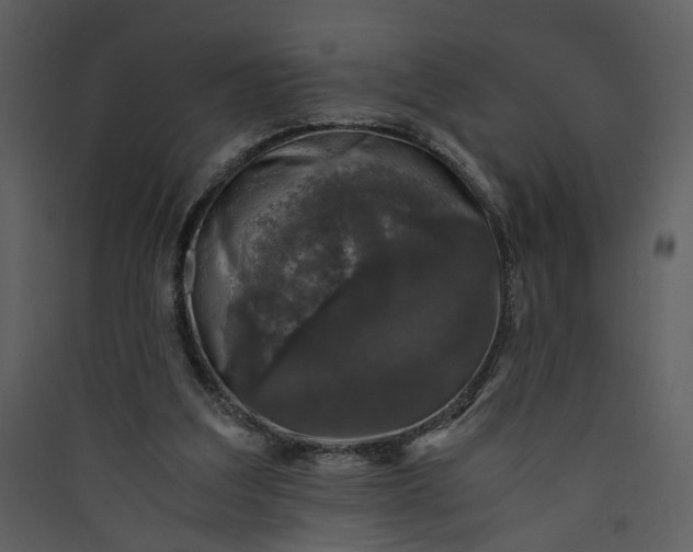 X0000089920203200707131418