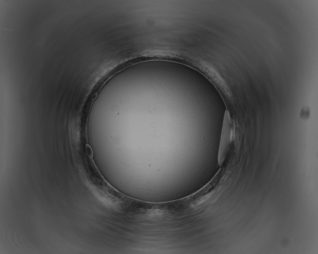X0000089920204200707131418