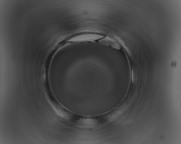 X0000089920205200707131418