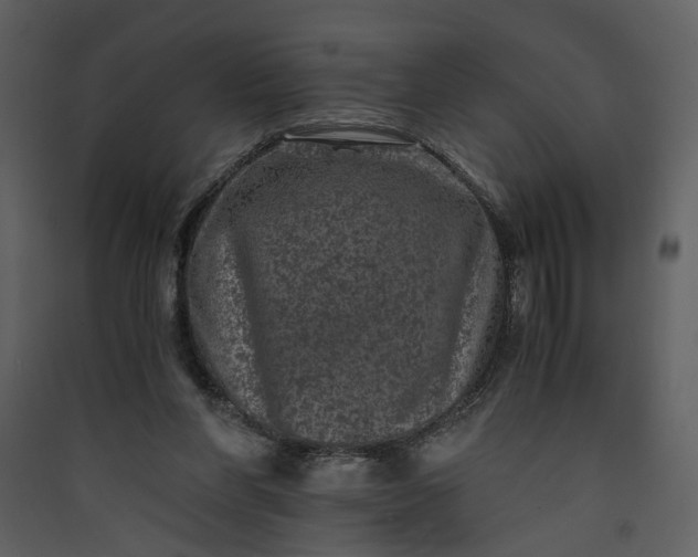 X0000089920206200707131418