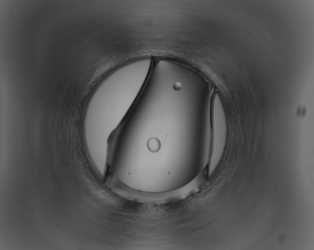 X0000089920207200707131418