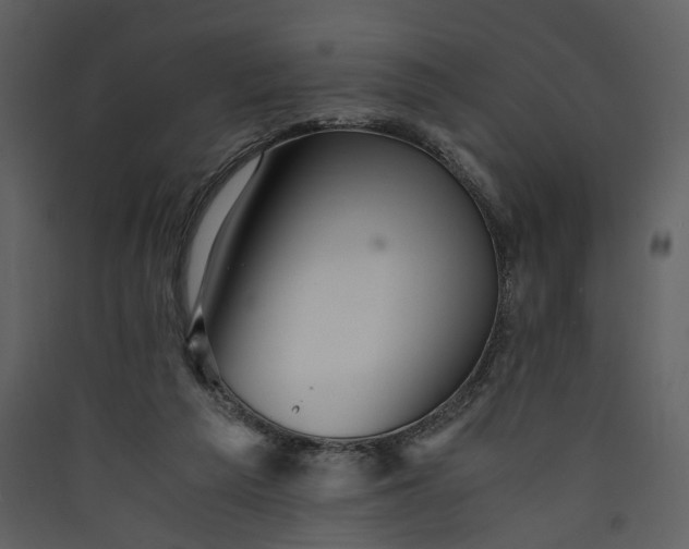 X0000089920209200707131418