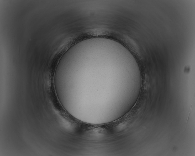 X0000089920210200707131418