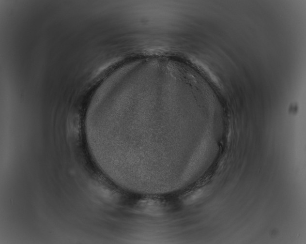 X0000089920211200707131418