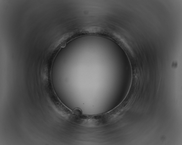 X0000089920212200707131418