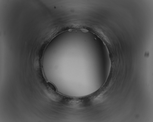 X0000089920213200707131418