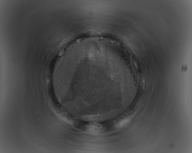 X0000089920215200707131418