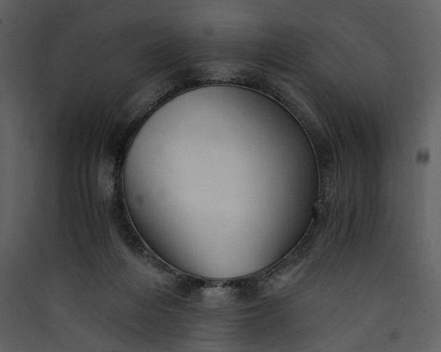 X0000089920216200707131418