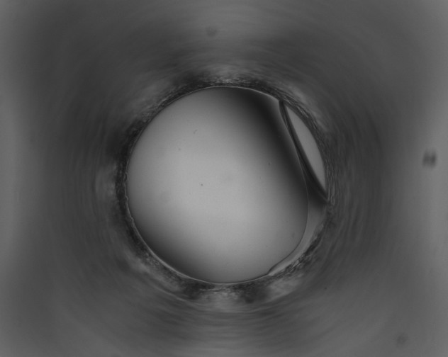 X0000089920217200707131417