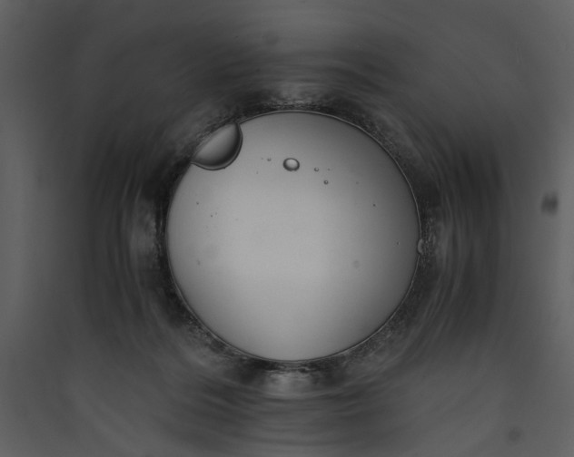 X0000089920220200707131417