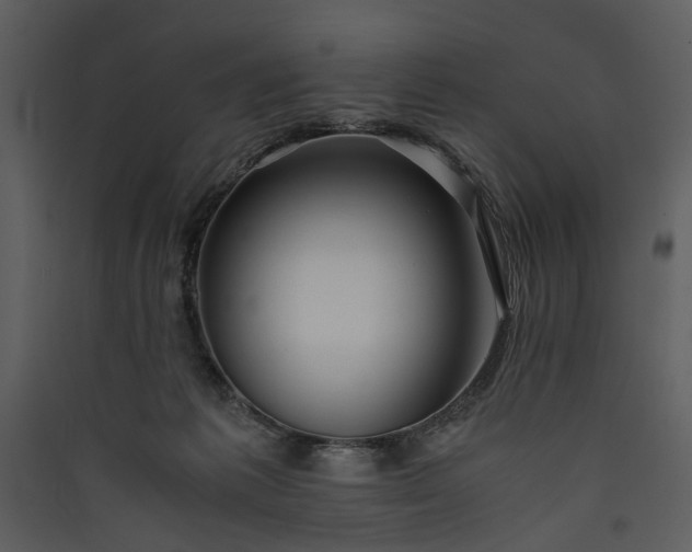 X0000089920221200707131417