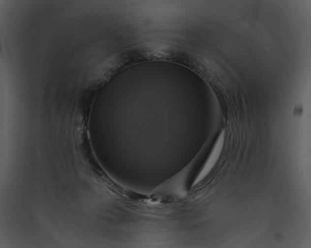 X0000089920223200707131417