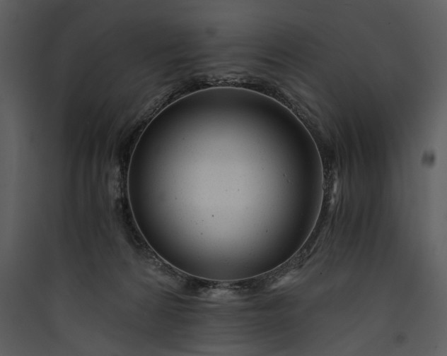 X0000089920224200707131417