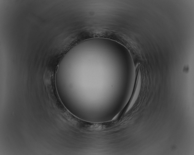 X0000089920225200707131417
