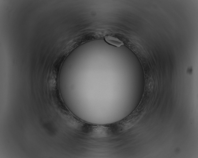 X0000089920226200707131417
