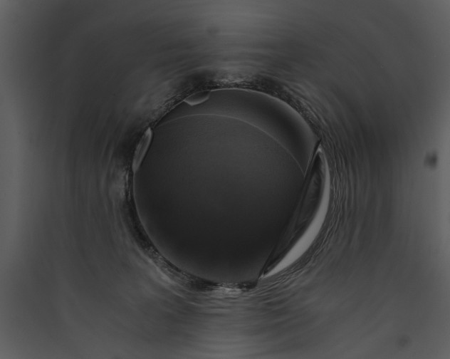 X0000089920227200707131417