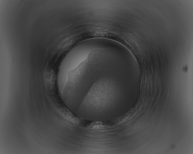 X0000089920228200707131417