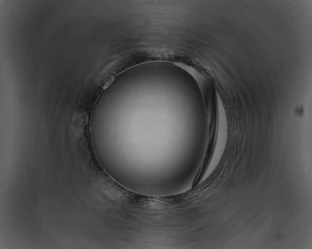 X0000089920229200707131417