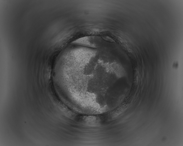 X0000089920230200707131417