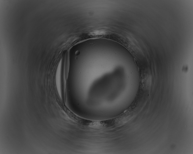 X0000089920231200707131417
