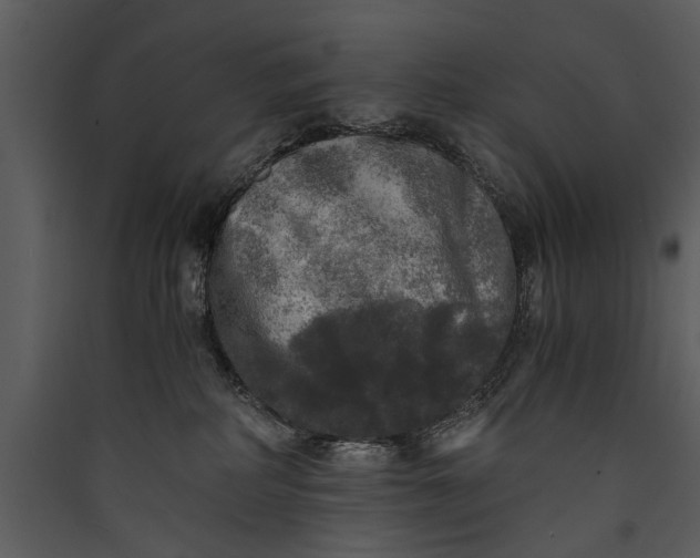 X0000089920234200707131417