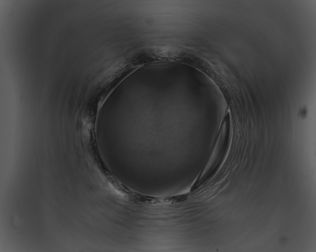 X0000089920235200707131417