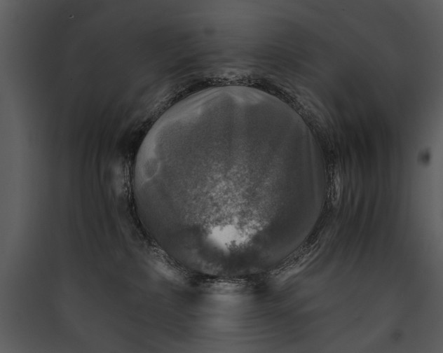 X0000089920236200707131417