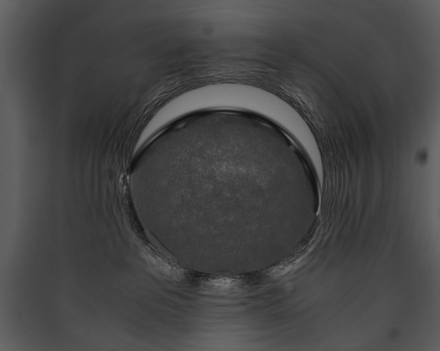 X0000089920237200707131417