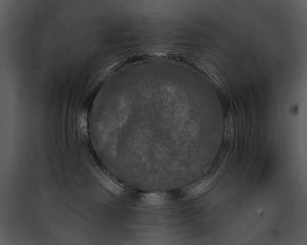 X0000089920238200707131417