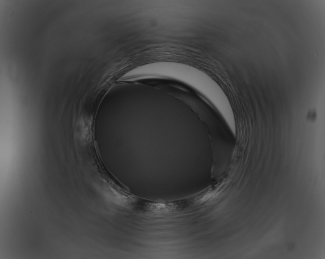 X0000089920239200707131417